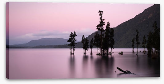Lake Brunner blush