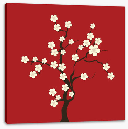 Cherry blossom