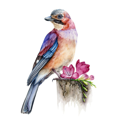 The jay bird perch
