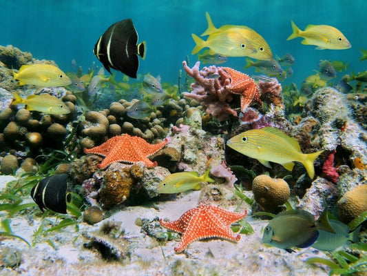 Underwater