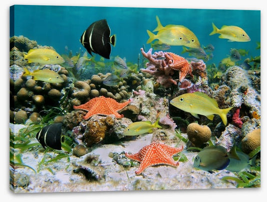 Underwater