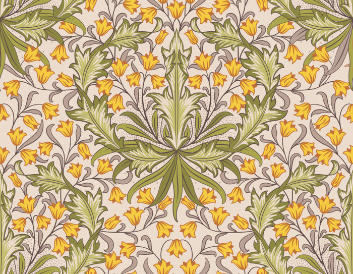 Royal tulip