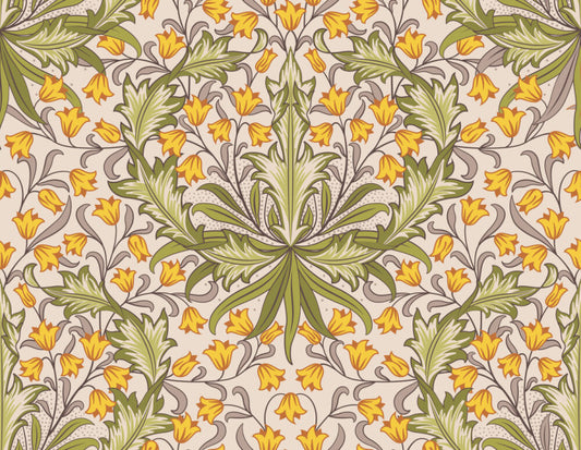 Royal tulip