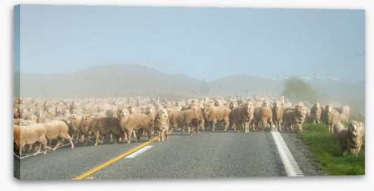 Monday morning gridlock