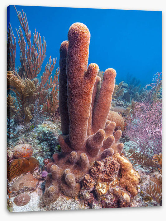 Underwater