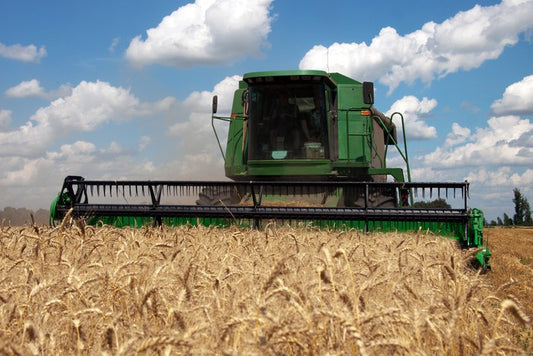 Agriculture