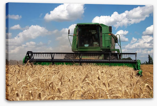 Agriculture
