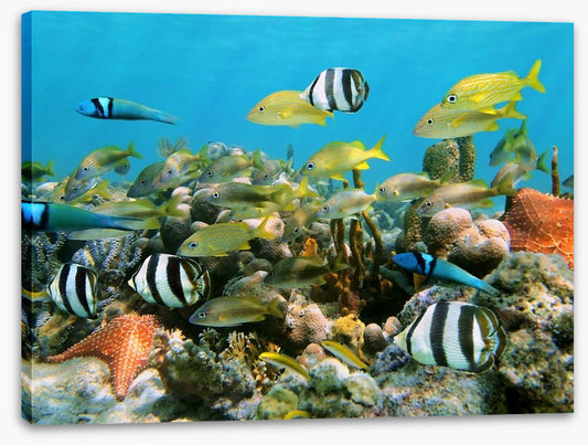 Underwater