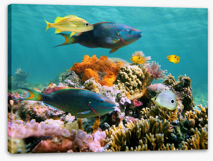 Underwater
