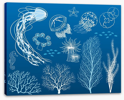 Dance of the jellyfish