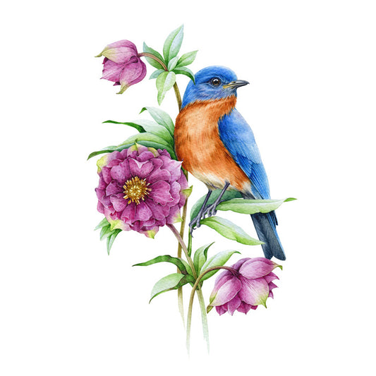 Birds