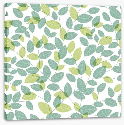Soft leaves