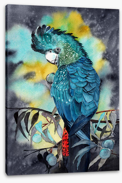 Moonlight cockatoo