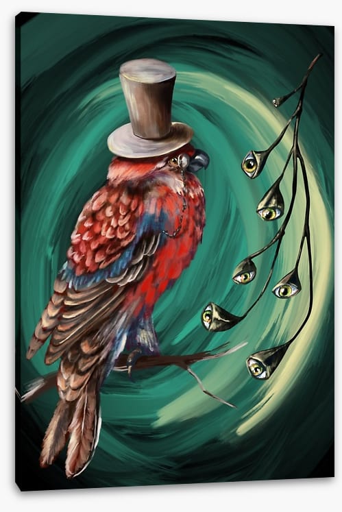 Birds