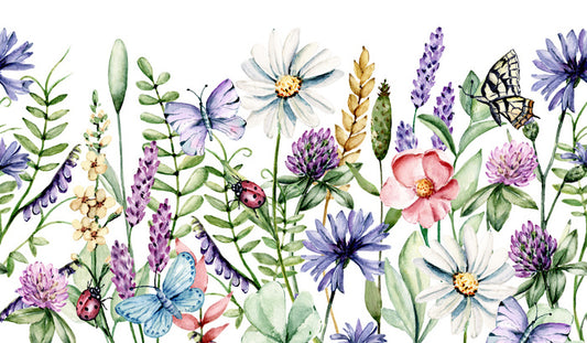 Chamomile and clover