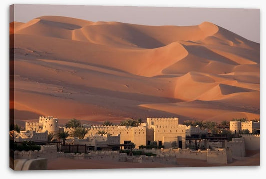 Abu Dhabi dunes