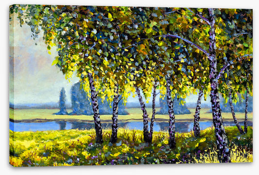 Birch and beyond