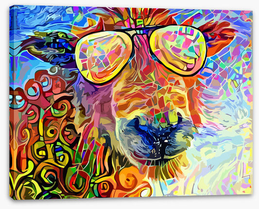 Sheepish summer