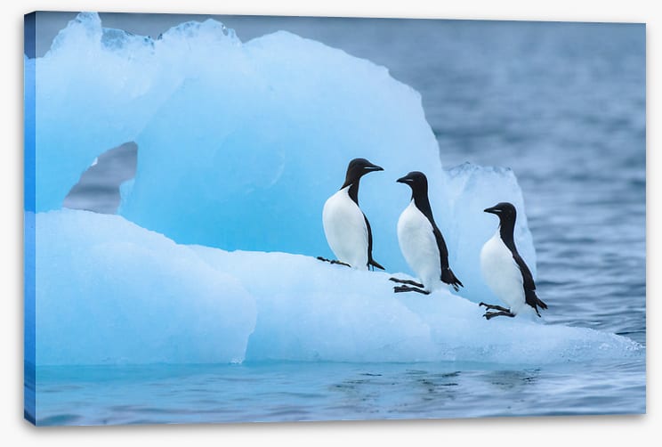 Glaciers