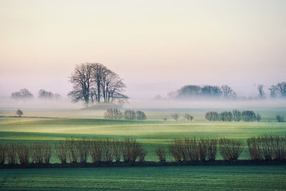 Rolling mist