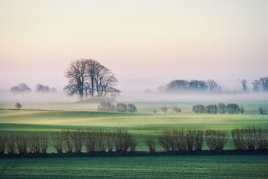 Rolling mist