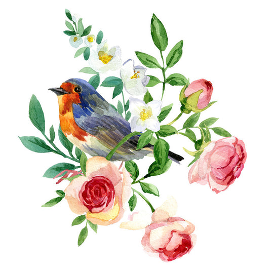 Birds