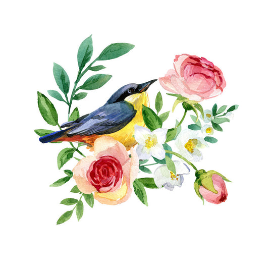 Birds
