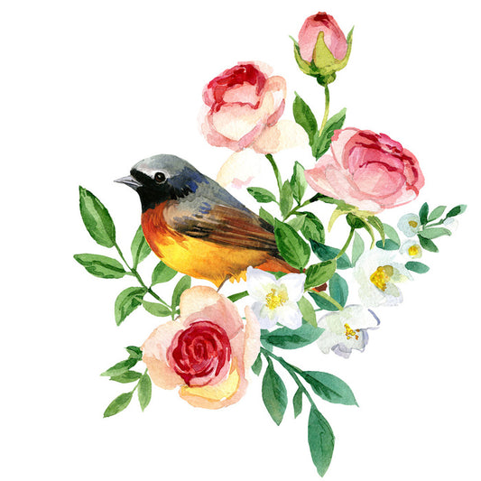 Birds