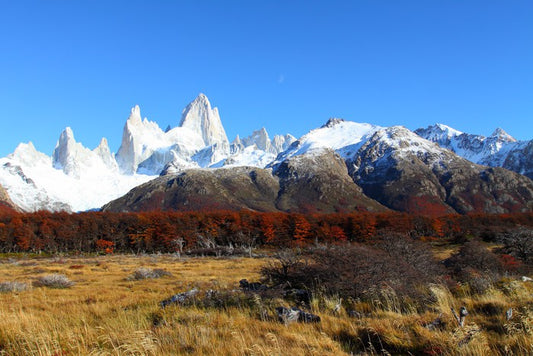 South America