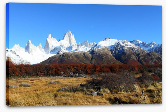 South America