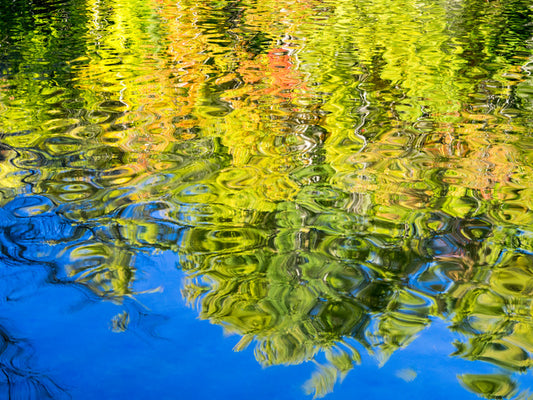 Reflections of fall