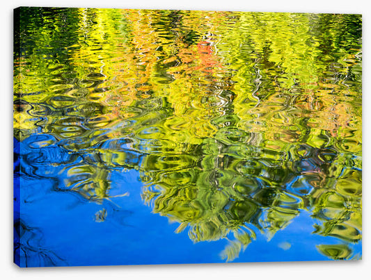 Reflections of fall