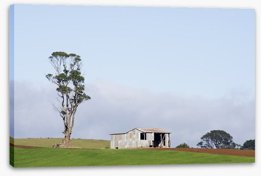 By the gum tree