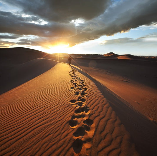 Off the beaten track