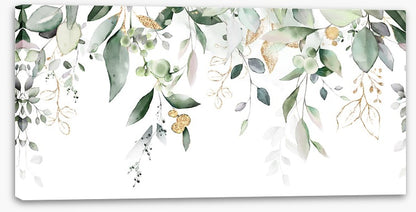 Eucalypt cascade
