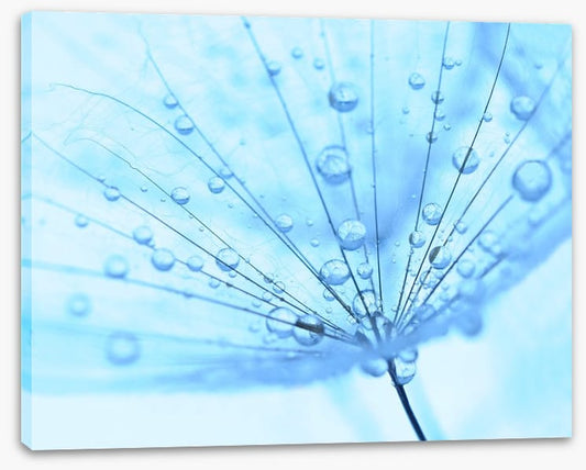 Dandelion drops