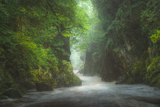 Fairy Glen gorge
