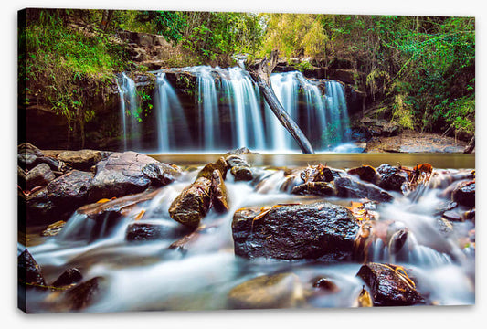 Timber falls