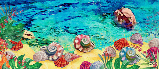 Seashell shores