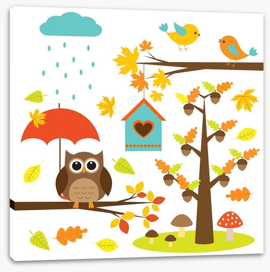 Autumnal owl