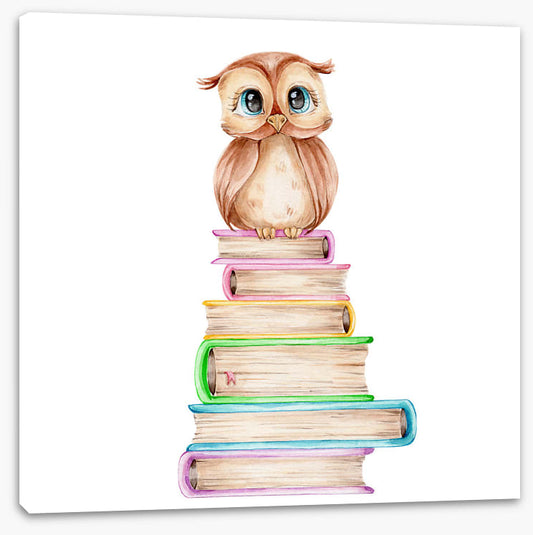 Know it owl