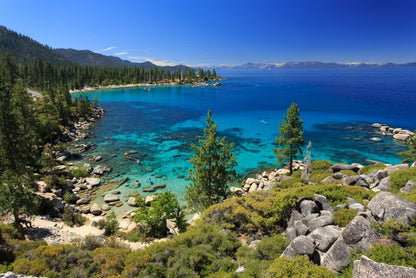 The lake shore