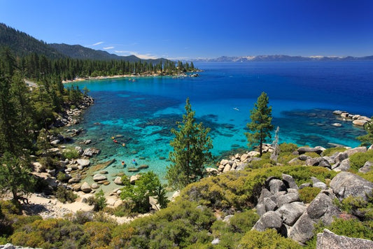 The lake shore