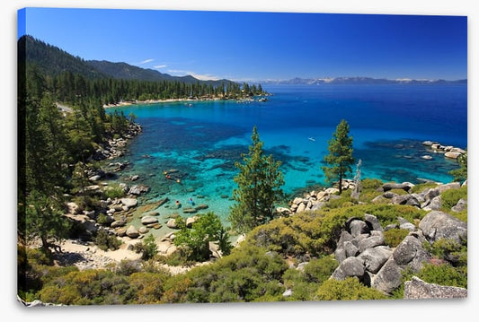 The lake shore