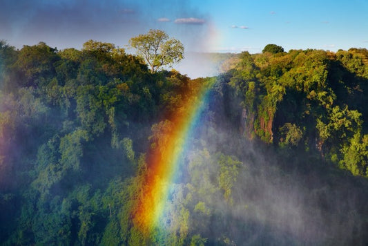 Rainbows