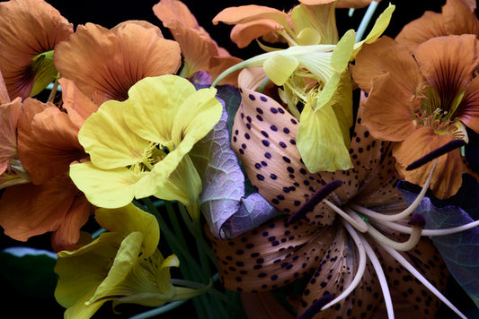 Nasturtium by nature