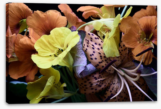 Nasturtium by nature