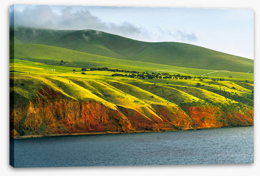 Greens to gold