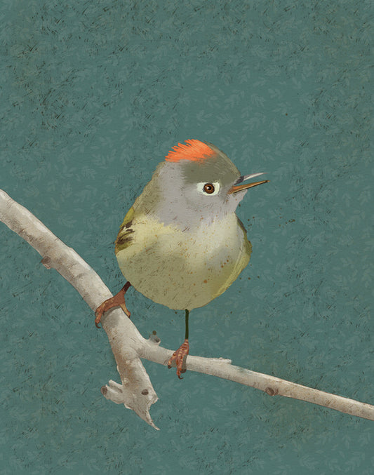 Birds