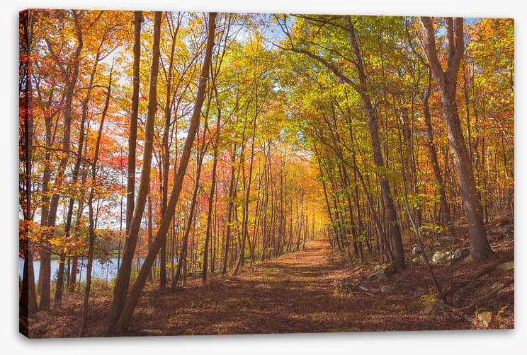 Following fall